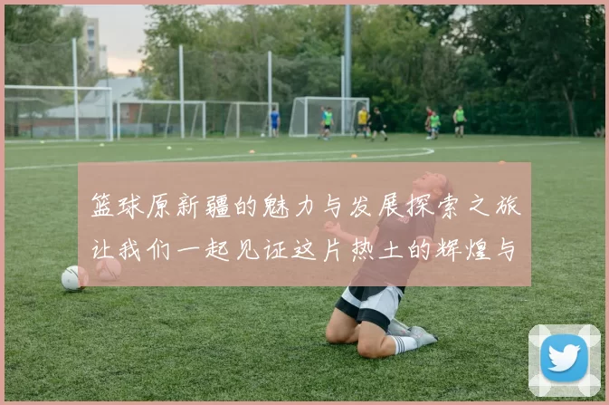 篮球原新疆的魅力与发展探索之旅让我们一起见证这片热土的辉煌与梦想