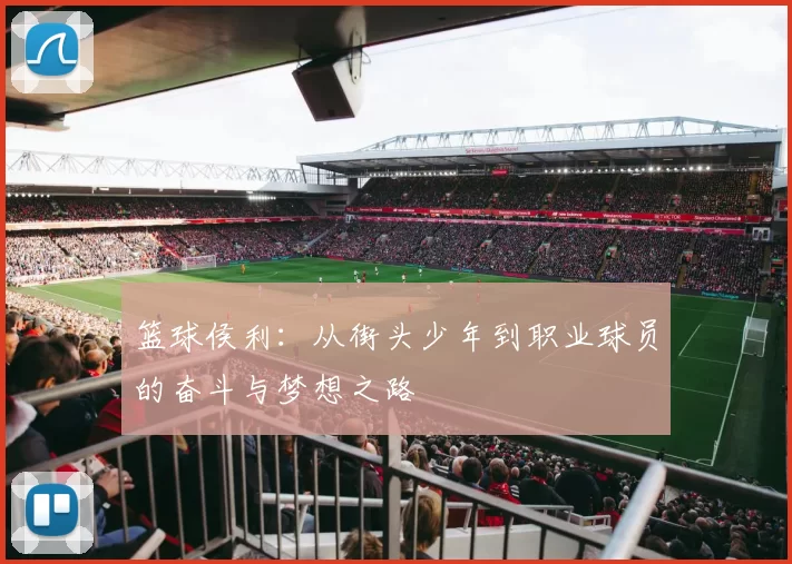 篮球侯利：从街头少年到职业球员的奋斗与梦想之路