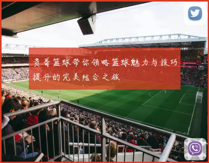 贵哥篮球带你领略篮球魅力与技巧提升的完美结合之旅